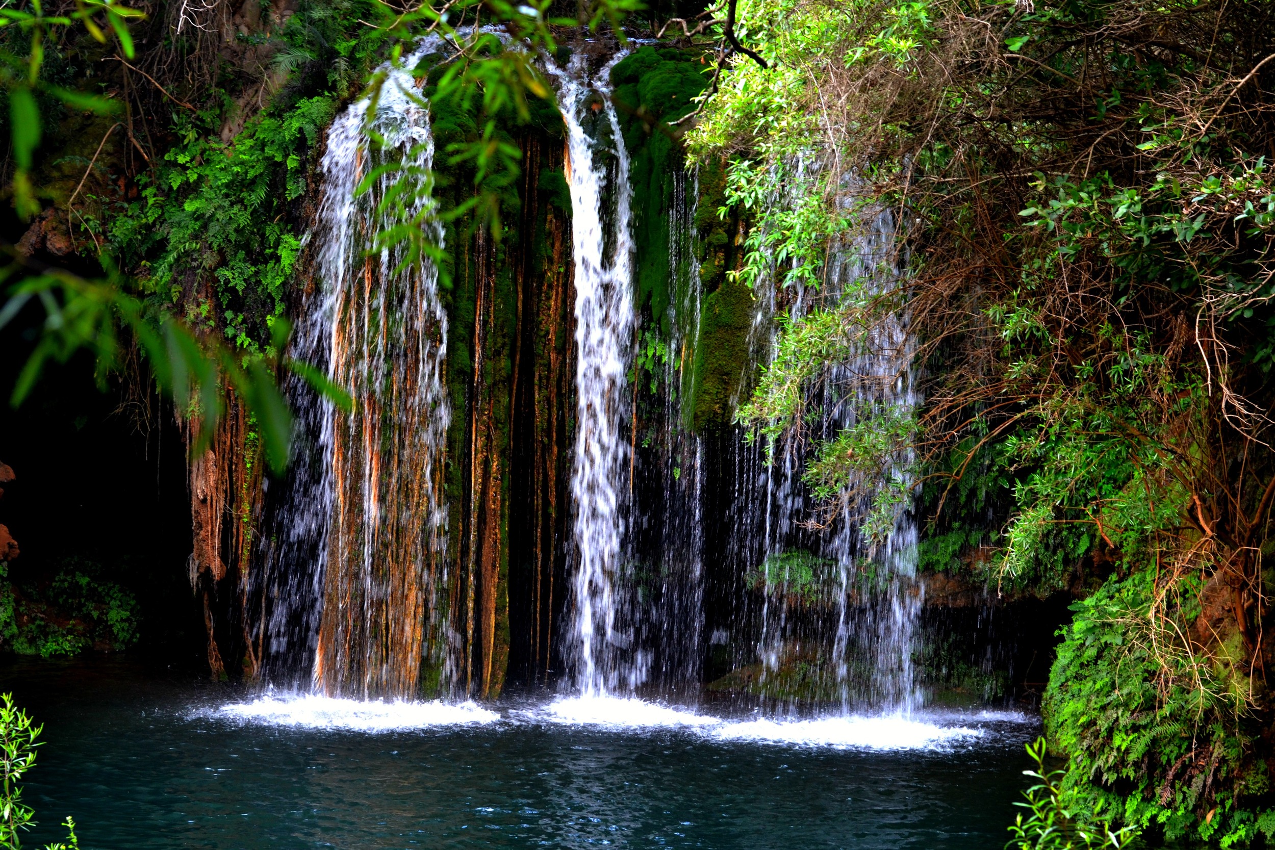DSC_2709edit.jpg