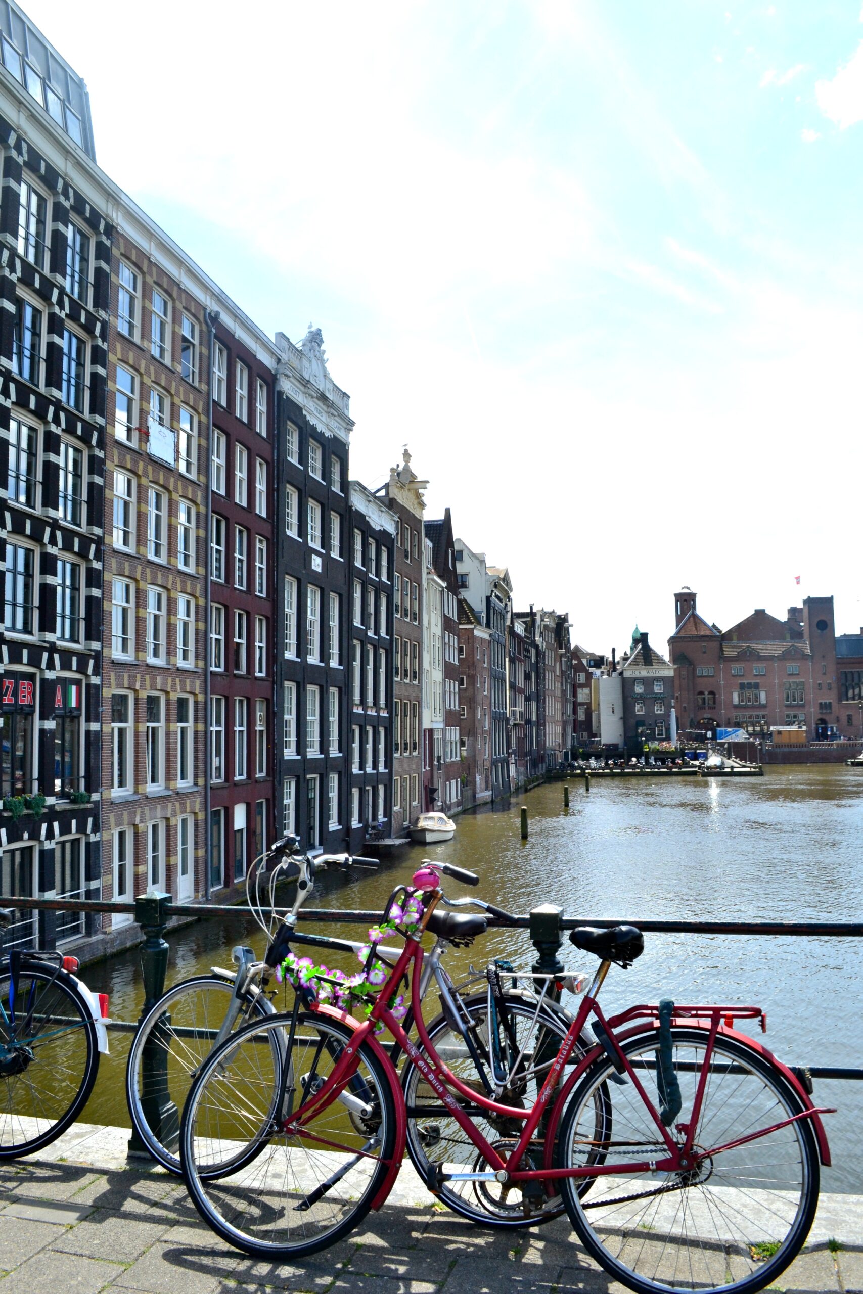 amsterdamed10.jpg
