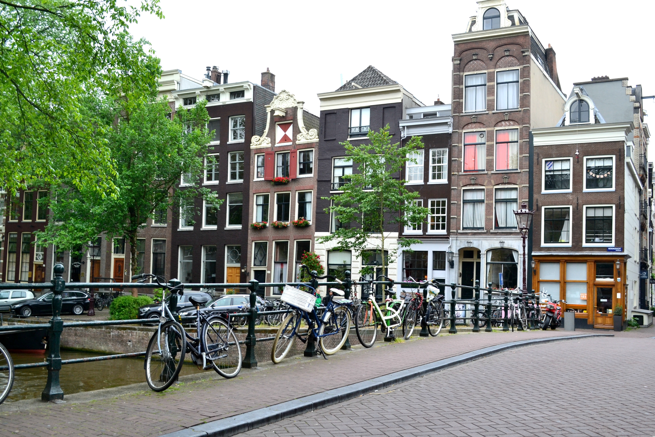 amsterdamed5