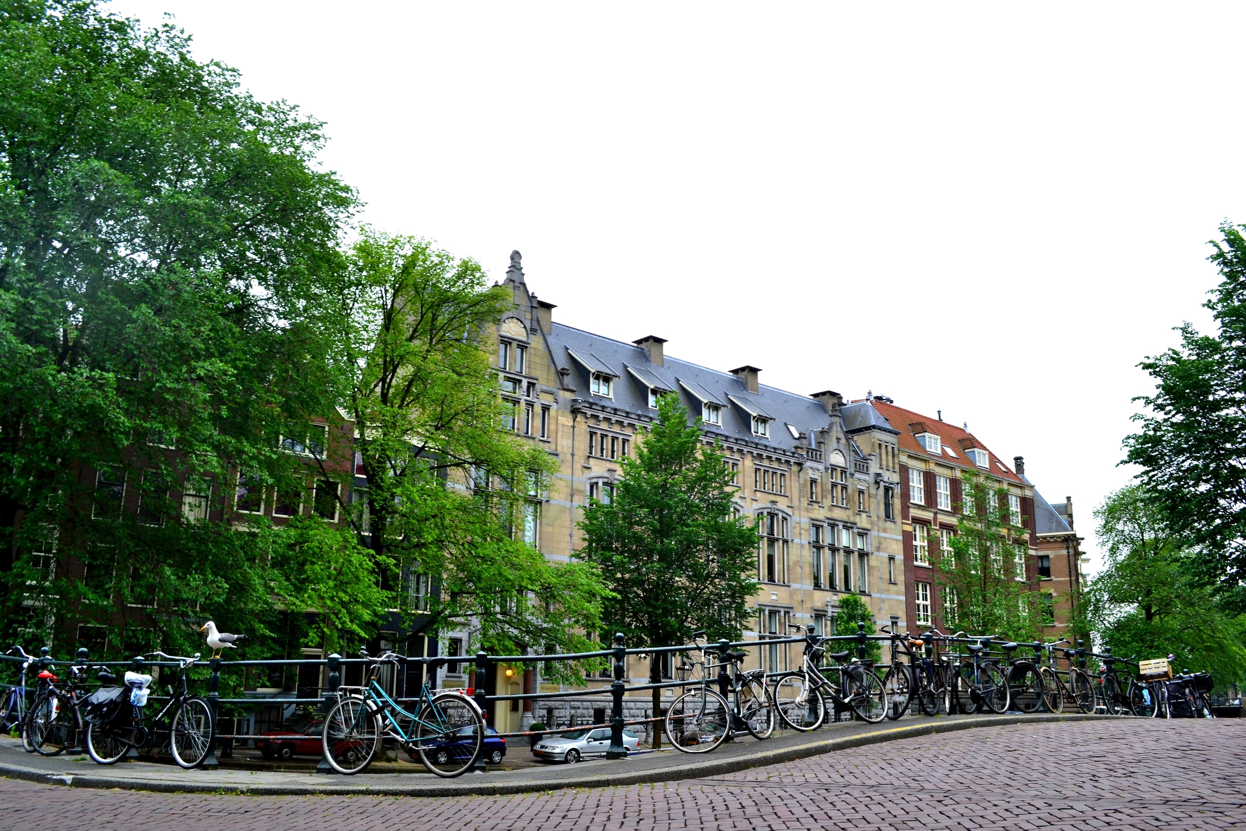 amsterdamed6