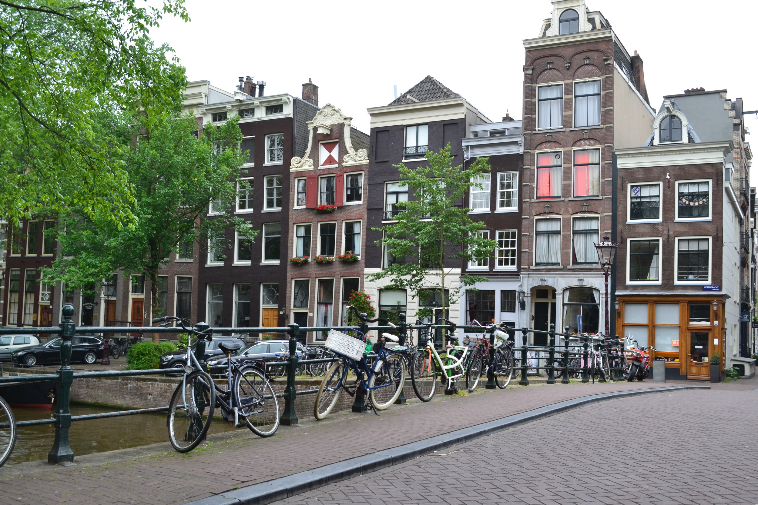 DSC_0978.JPG