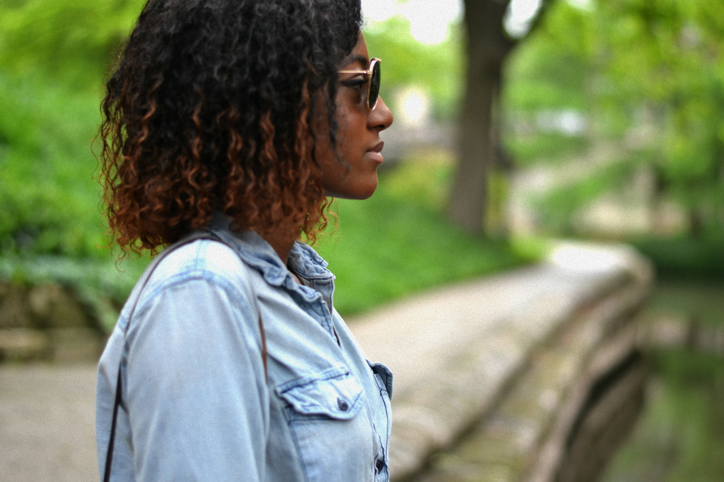 chambray8.jpg