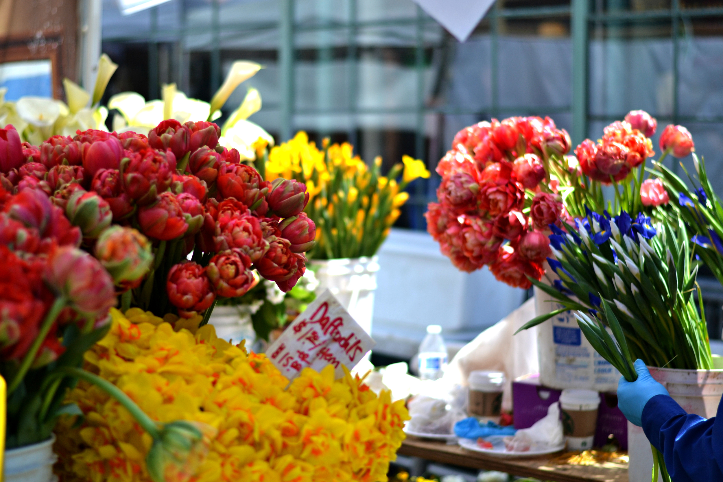 The most beautiful flowers at Pike's place