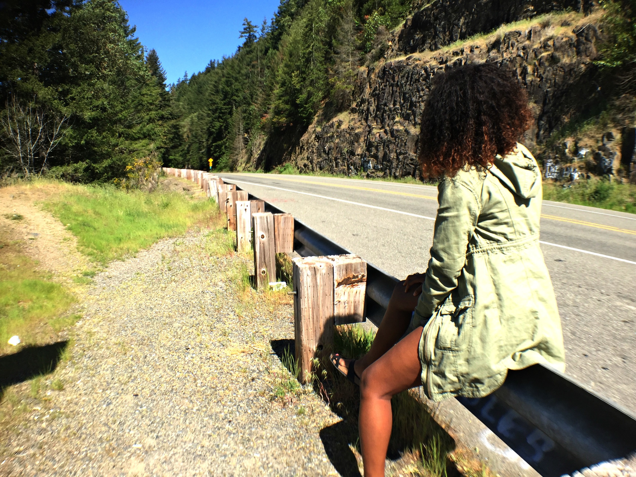 Random photo stops on the way to Mount Rainier.
