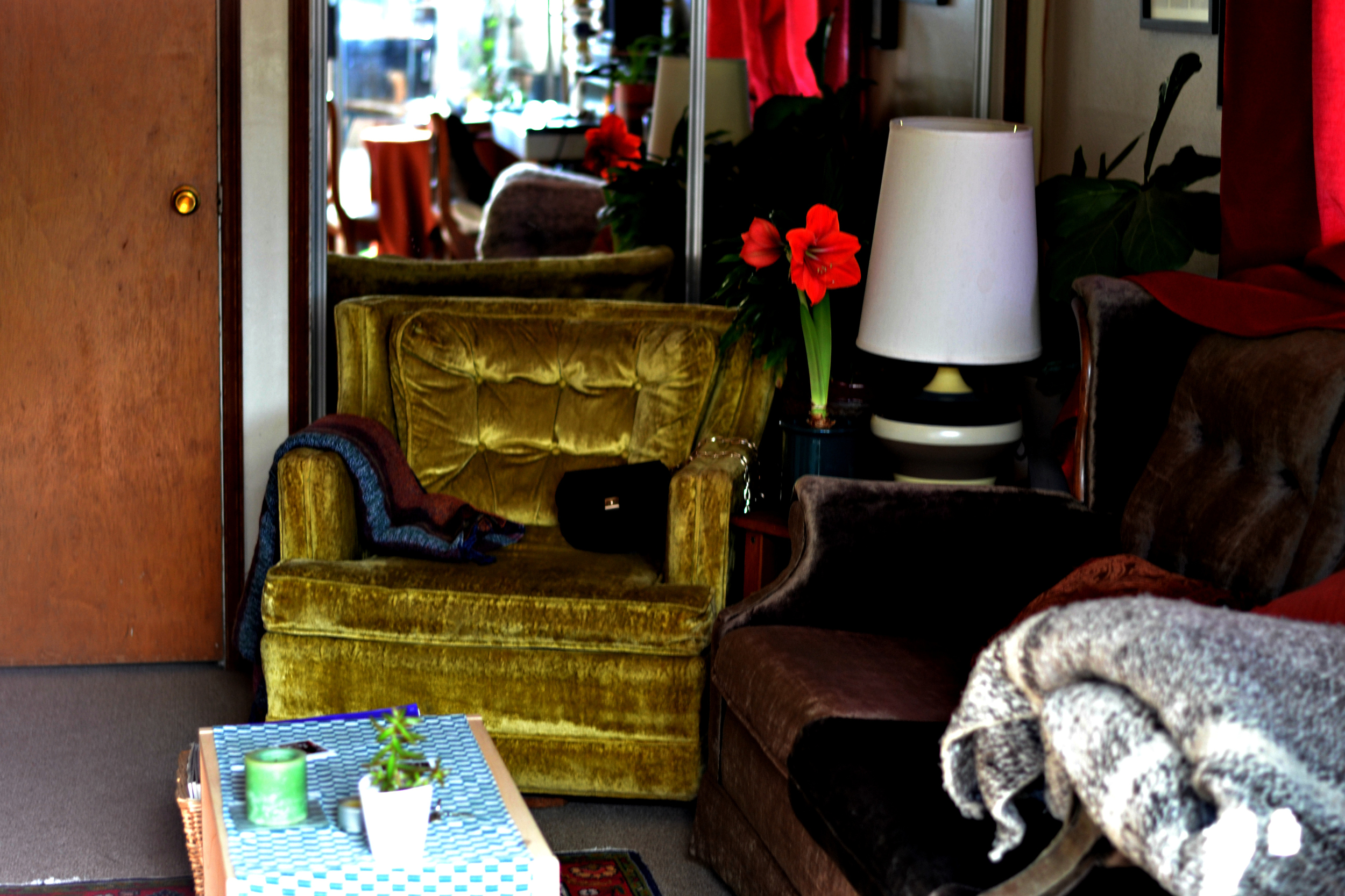 Inside of our Airbnb! It was a small loft with an amazing view of Seattle and hundreds of great books!