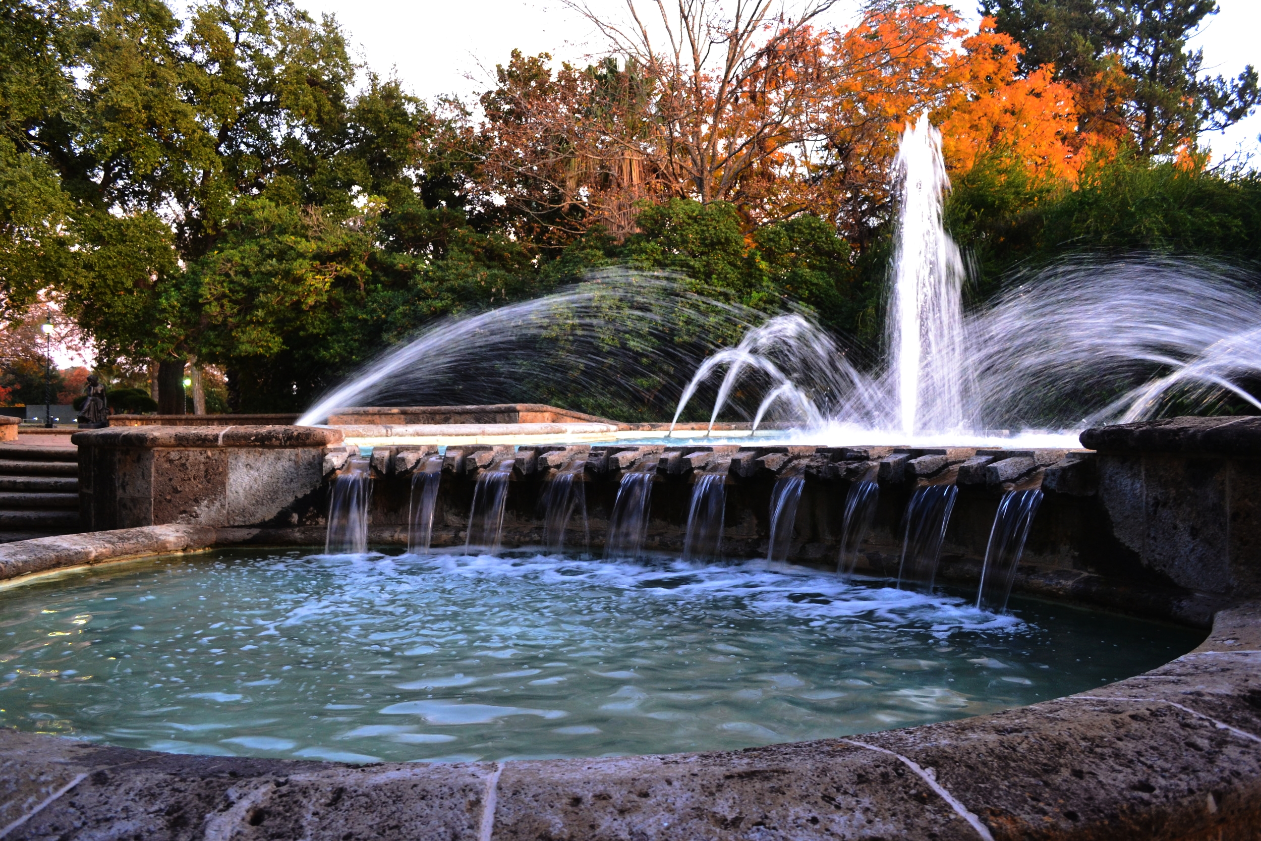 DSC_0472.JPG