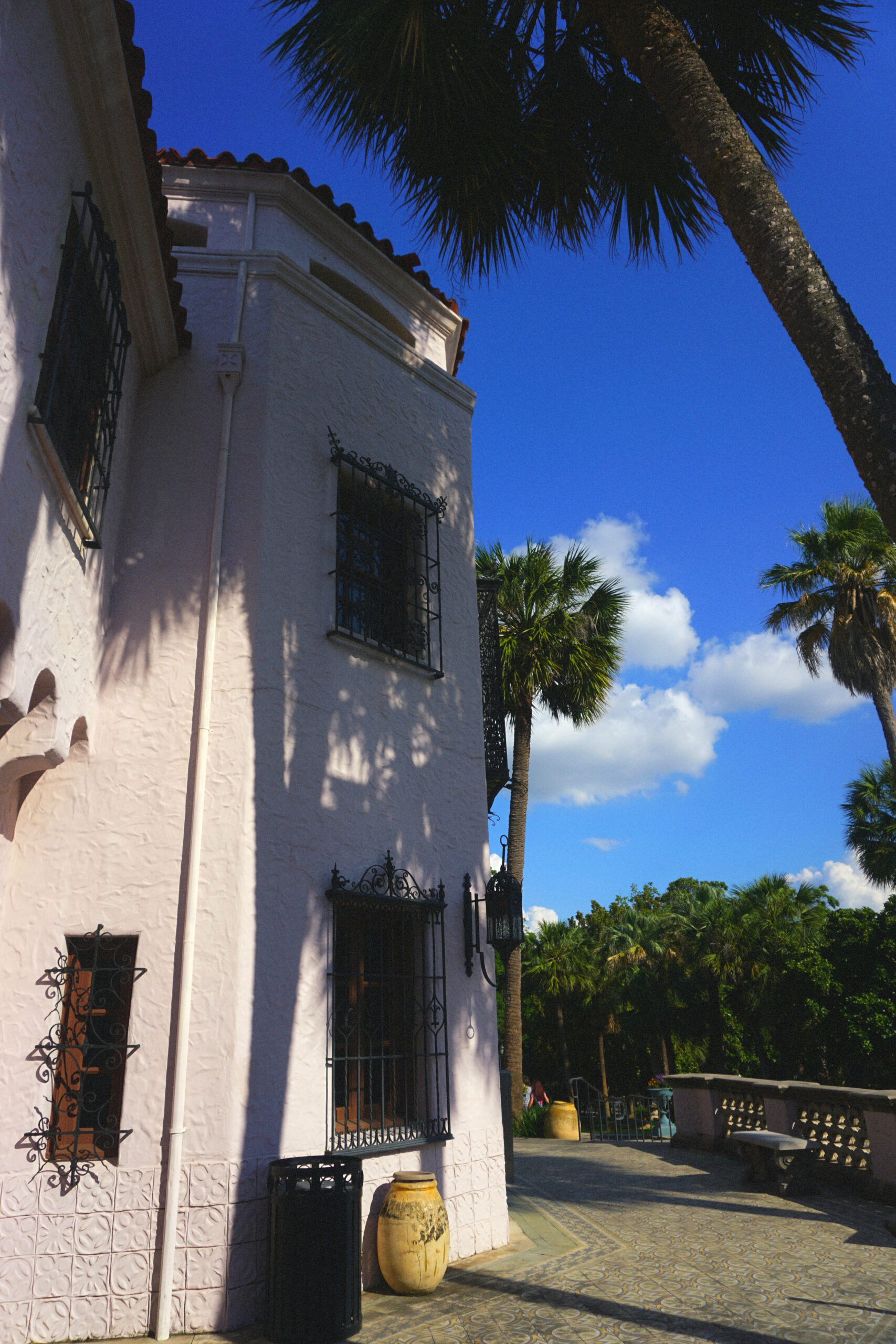 mcnay17.jpg