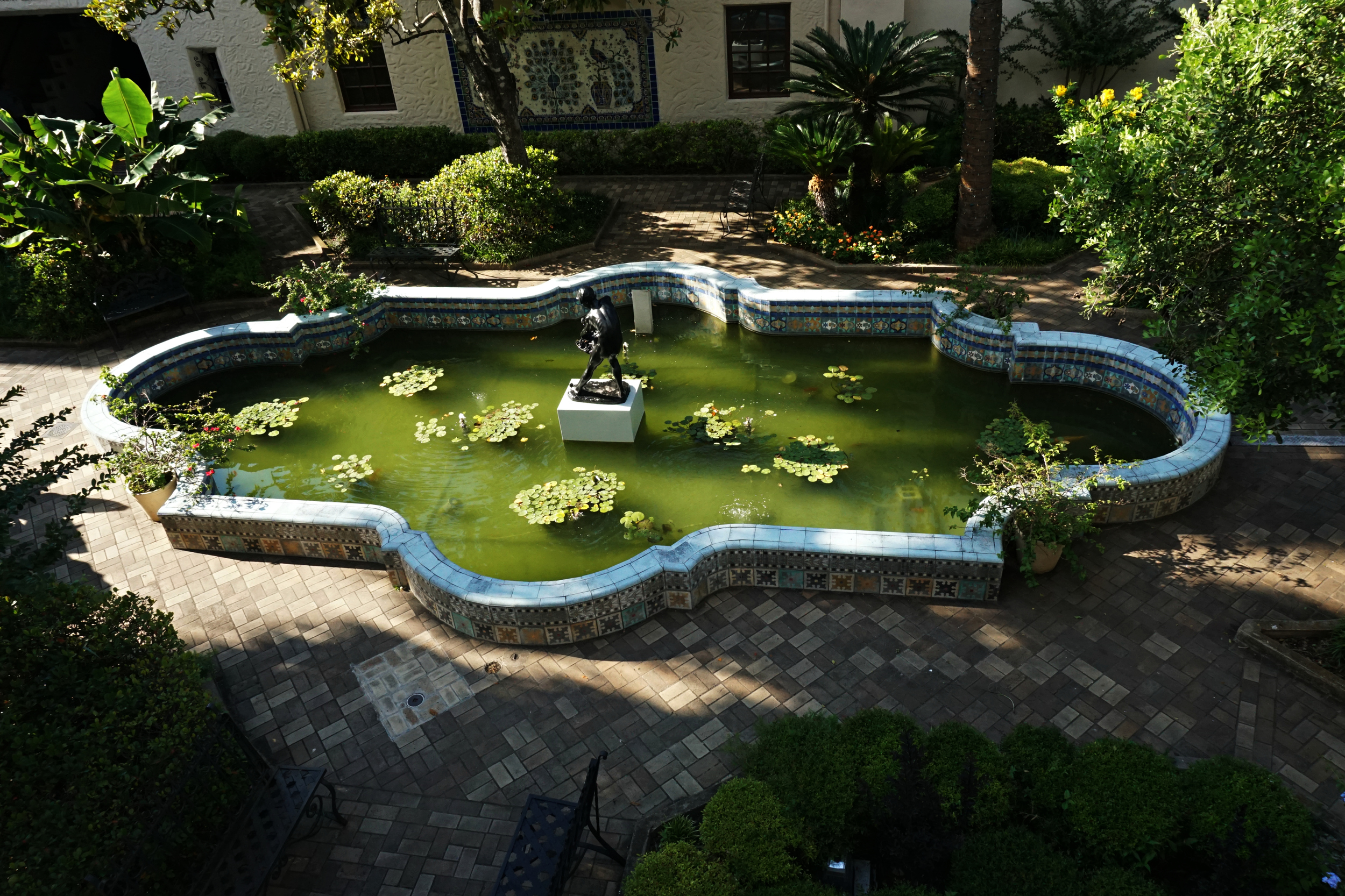 mcnay18.jpg