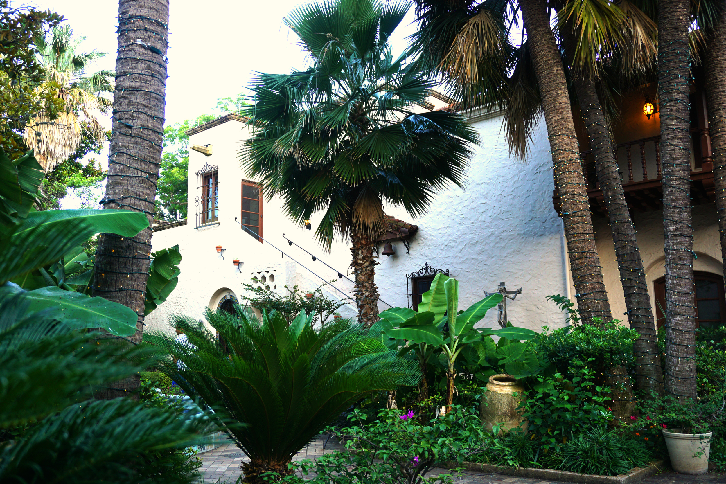 mcnay23.jpg