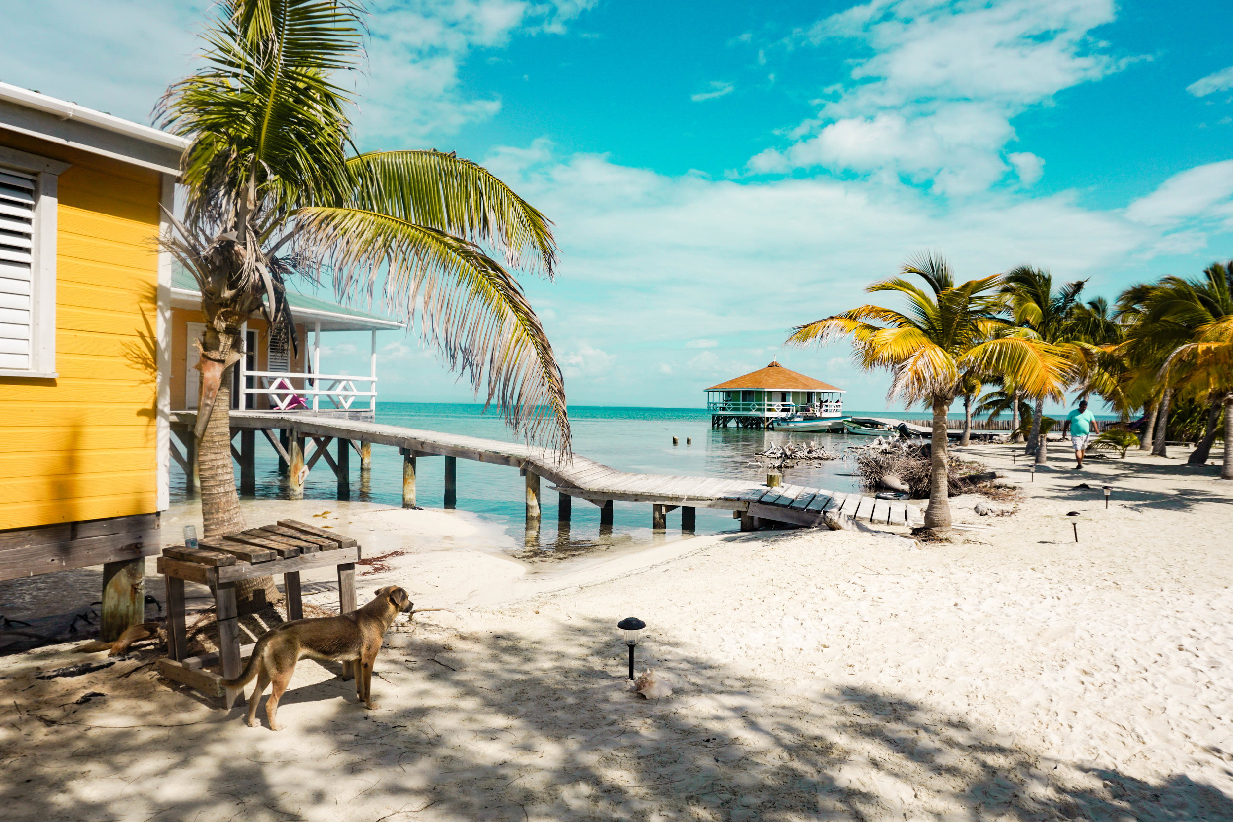 sailraggamuffinbelize-14.jpg