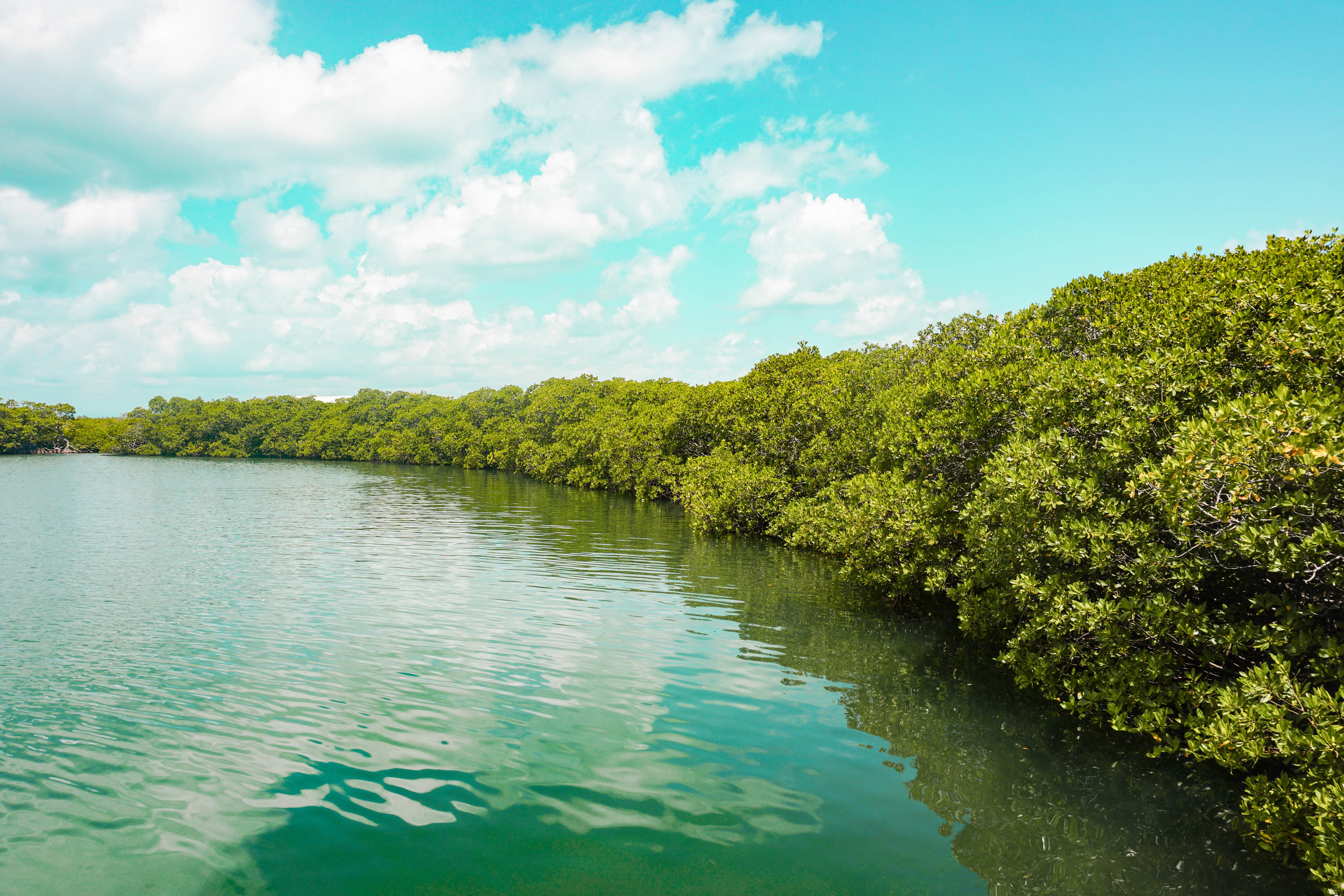 sailraggamuffinbelize-20.jpg